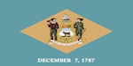 lone-worker-delaware-flag-icon