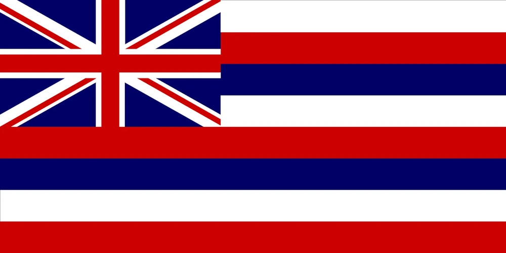 lone-worker-hawaii-flag