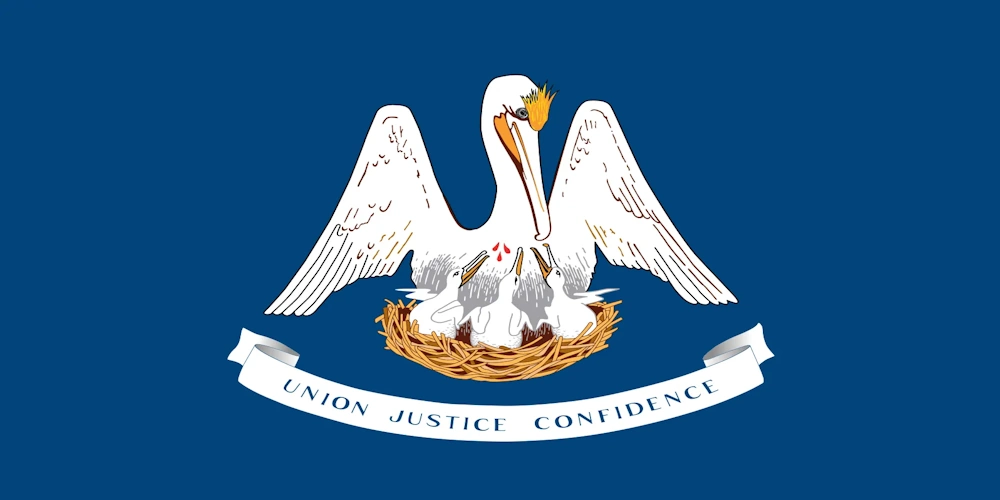 lone-worker-louisiana-flag