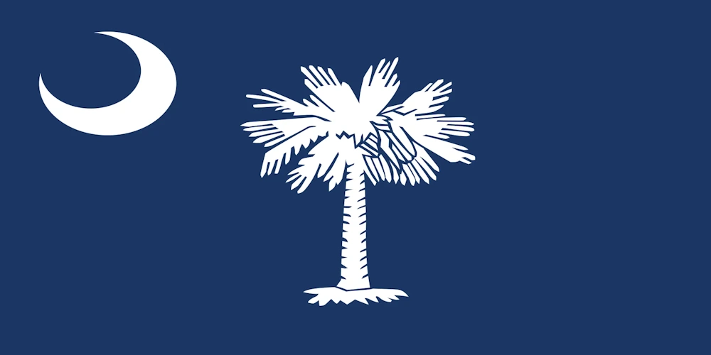 lone-worker-south-carolina-flag
