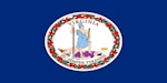 lone-worker-virginia-flag-icon
